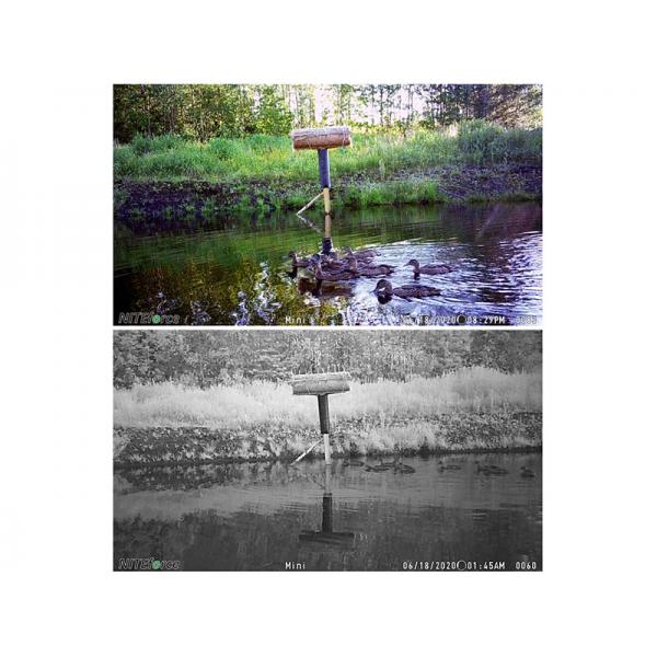 NITEforce TRAILCAM MINI 20 MP HD sd card